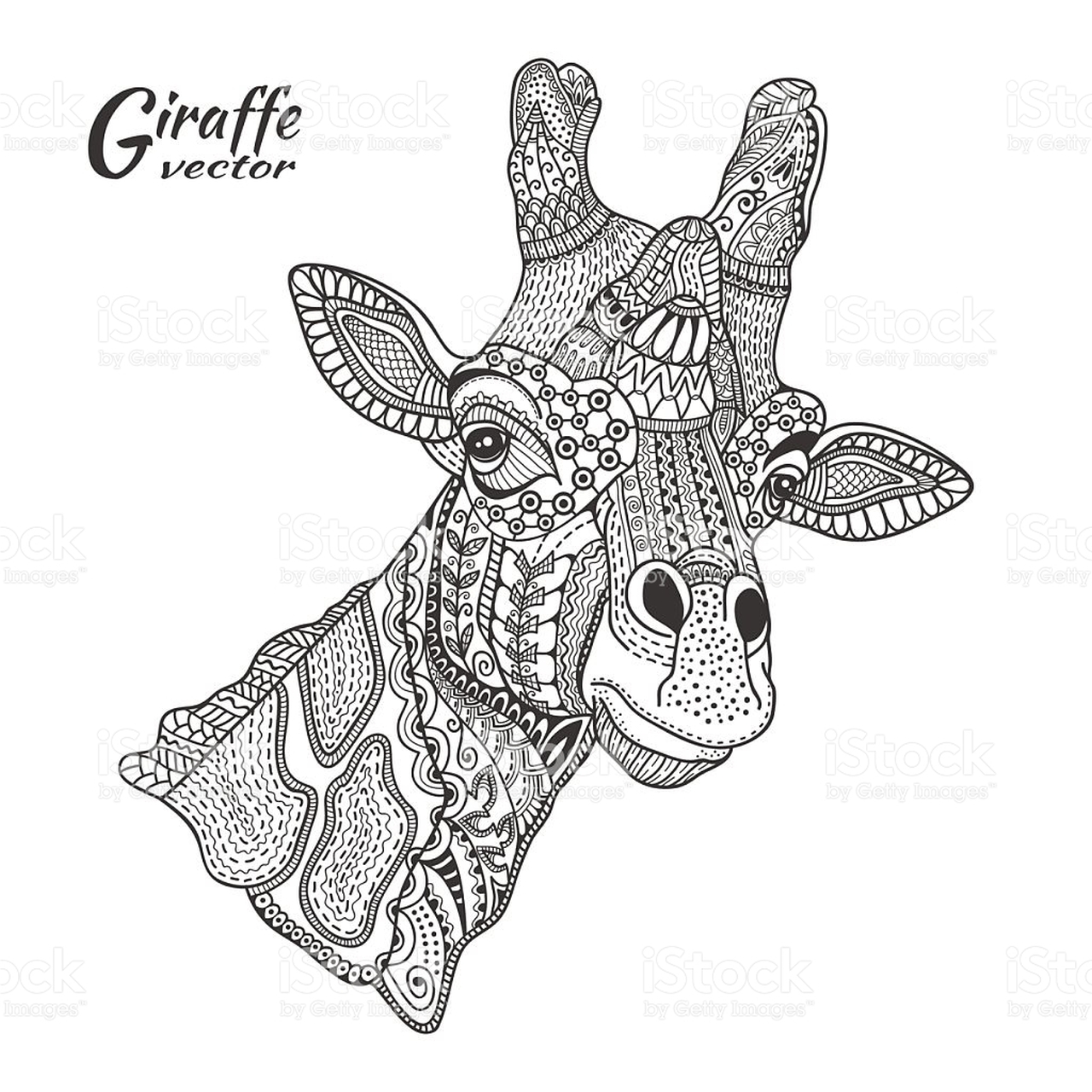 1280x1280 Adult Coloring Pages Animals Giraffe Printable