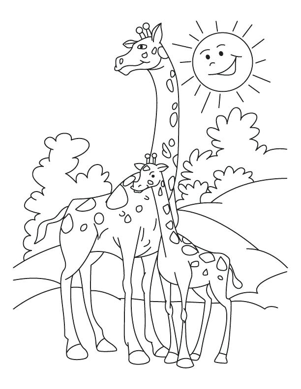 612x792 Baby Giraffe Coloring Pages Educational Coloring Pages Baby