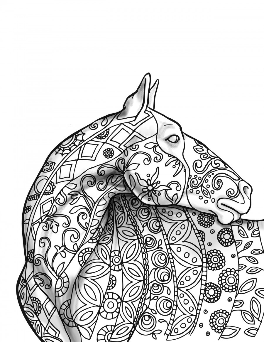 Horse Coloring Pages For Adults 900x1165 Horse Coloring Pages For Adults