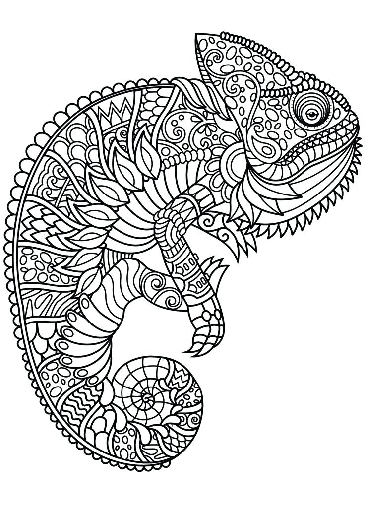 Animal Mandala Coloring Pages Coloring Pages Animals For Adults 736x1040 Animal Mandala Coloring Pages Coloring Pages Animals For Adults