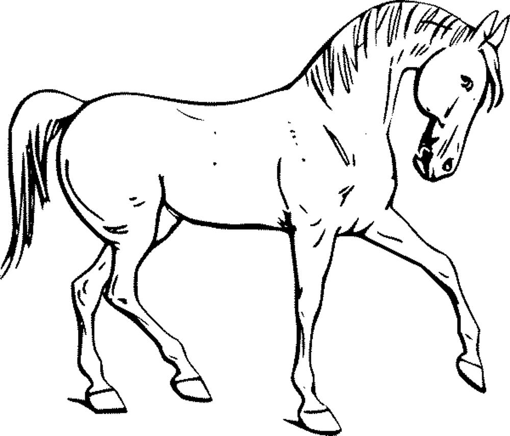 Unthinkable Horse Color Pages Fun Coloring For Your Kids Printable 1000x855 Unthinkable Horse Color Pages Fun Coloring For Your Kids Printable