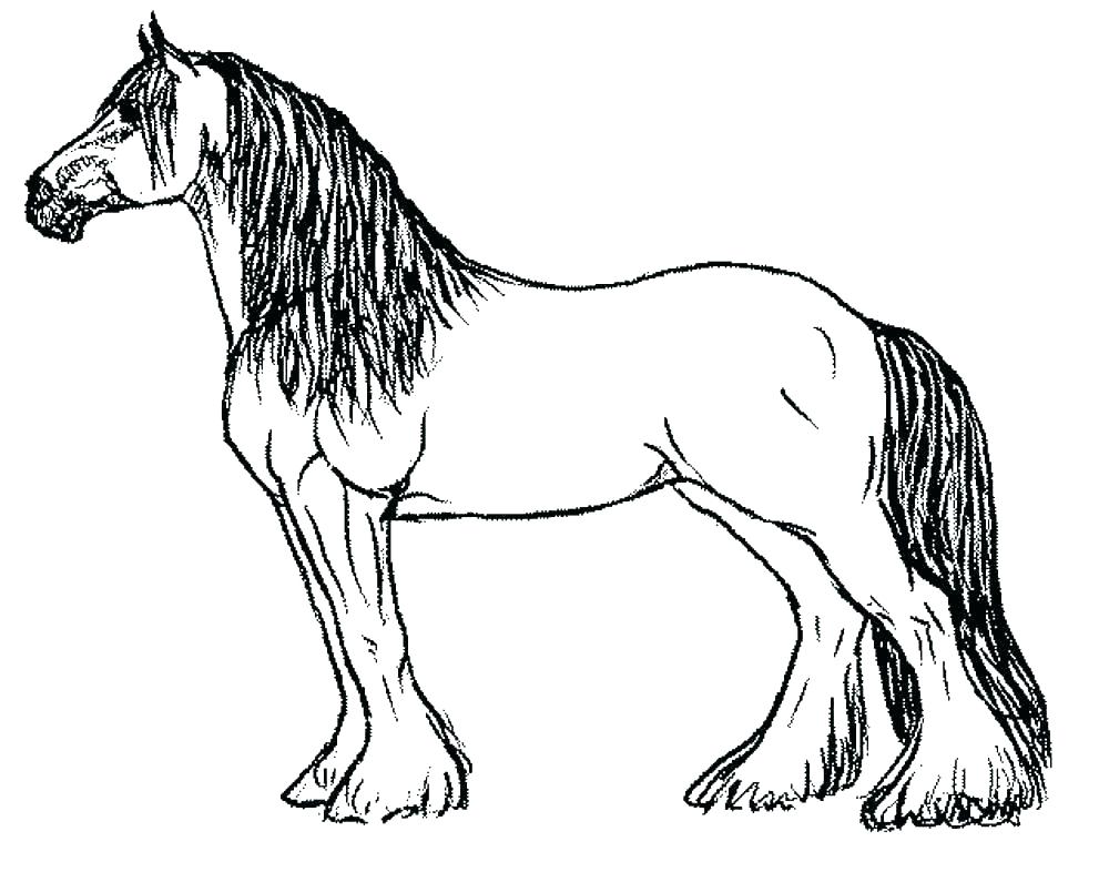 Adult Coloring Pages Horse 1000x786 Adult Coloring Pages Horse