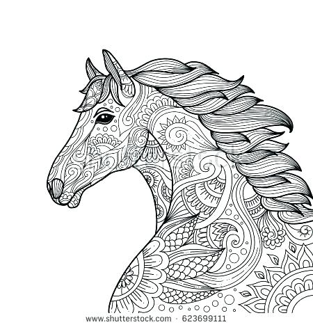 Marvelous Horse Coloring Pages For Adults 450x470 Marvelous Horse Coloring Pages For Adults