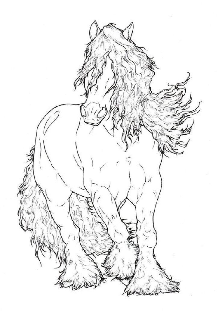 Charming Design Horse Coloring Pages For Adults 161 Best Drawings 728x1036 Charming Design Horse Coloring Pages For Adults 161 Best Drawings