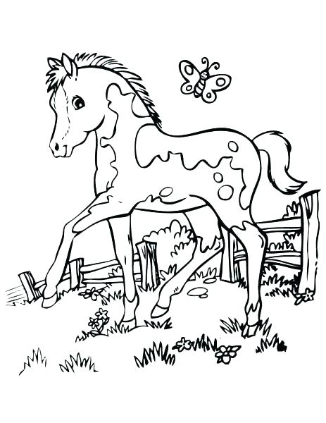 Free Horse Coloring Pages Horse Color Pages Horses Coloring Book 463x600 Free Horse Coloring Pages Horse Color Pages Horses Coloring Book