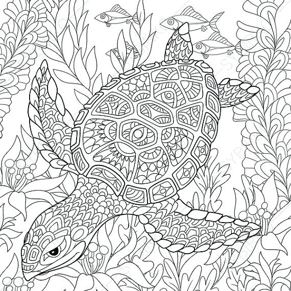 570x570 Animal Coloring Pages For Adults Animal Coloring Pages Sugar Skull