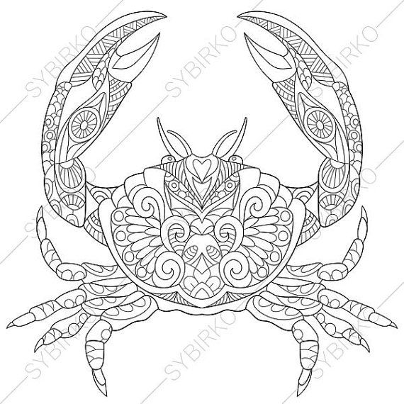 570x570 Ocean Coloring Pages For Adults Best 25 Ocean Coloring Pages Ideas