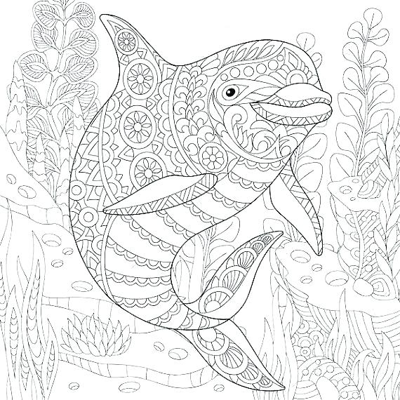 570x570 Ocean Habitat Coloring Pages Vanda