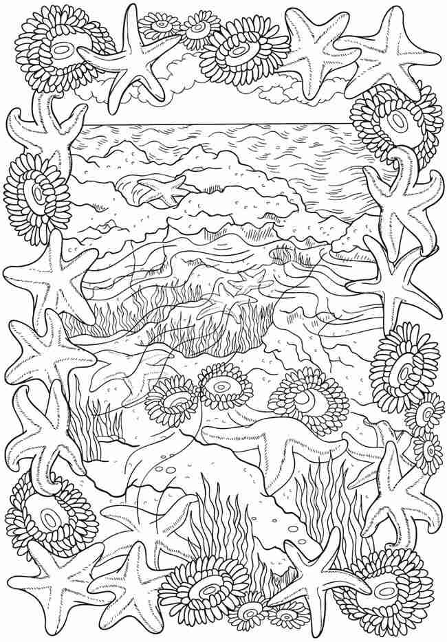 650x934 Adult Ocean Coloring Book Pages For Adults Designs Grig3 Org