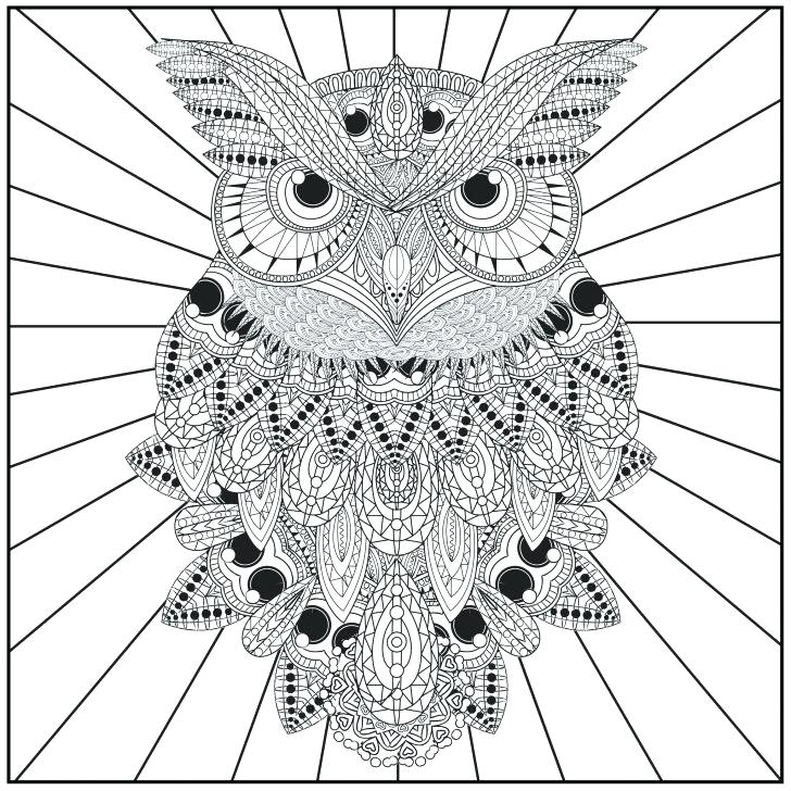 Coloring Pages Of Owls Owl Coloring Page Adult Club In Pages Owls 728x728 Coloring Pages Of Owls Owl Coloring Page Adult Club In Pages Owls
