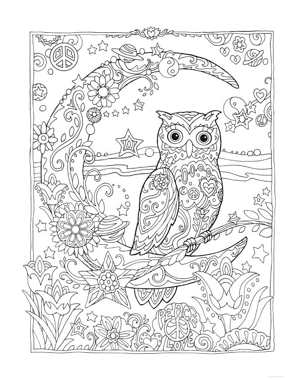 Moon Coloring Pages For Adults Owl Owls Crescent Moon Flowers 575x767 Moon Coloring Pages For Adults Owl Owls Crescent Moon Flowers