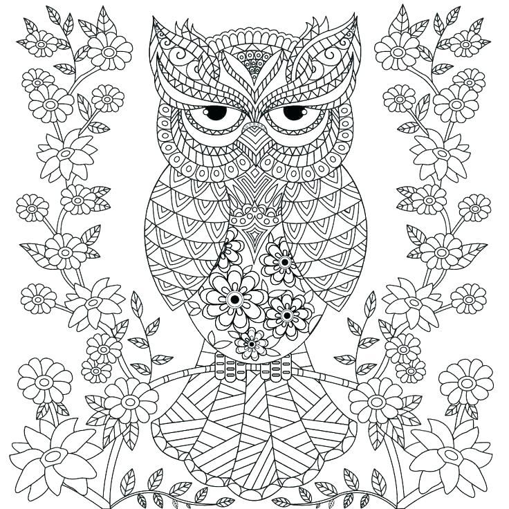 Owl Printable Coloring Pages Owl Printable Coloring Pages As Well 736x736 Owl Printable Coloring Pages Owl Printable Coloring Pages As Well