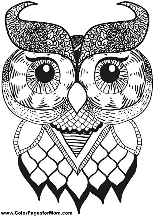 Printable Adult Coloring Pages Owls 584x820 Printable Adult Coloring Pages Owls