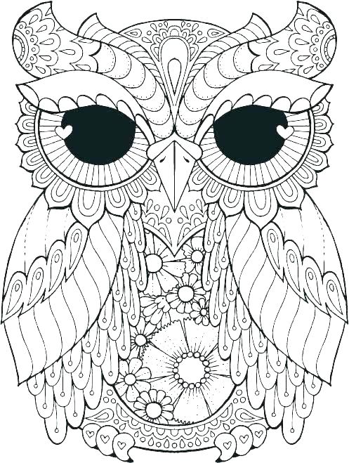 Coloring Pages Owls 497x659 Coloring Pages Owls