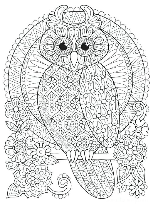 Coloring Book Owl Perched Owl Coloring Page By Coloring Book 521x700 Coloring Book Owl Perched Owl Coloring Page By Coloring Book