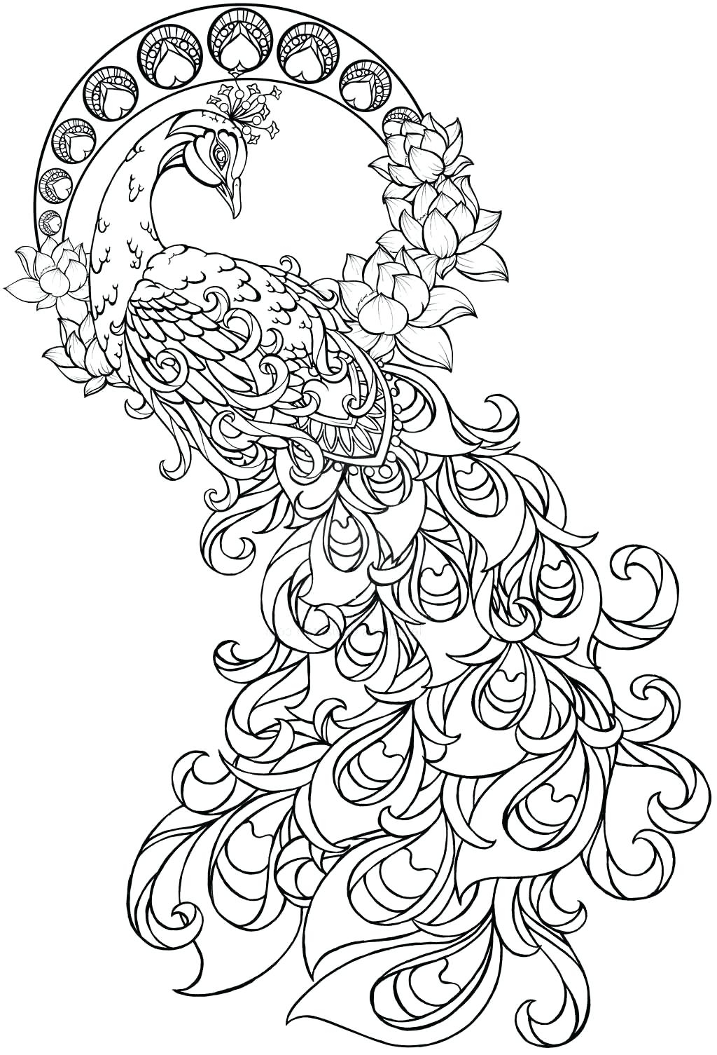 Printable Intricate Design Coloring Pages 1024x1505 Printable Intricate Design Coloring Pages