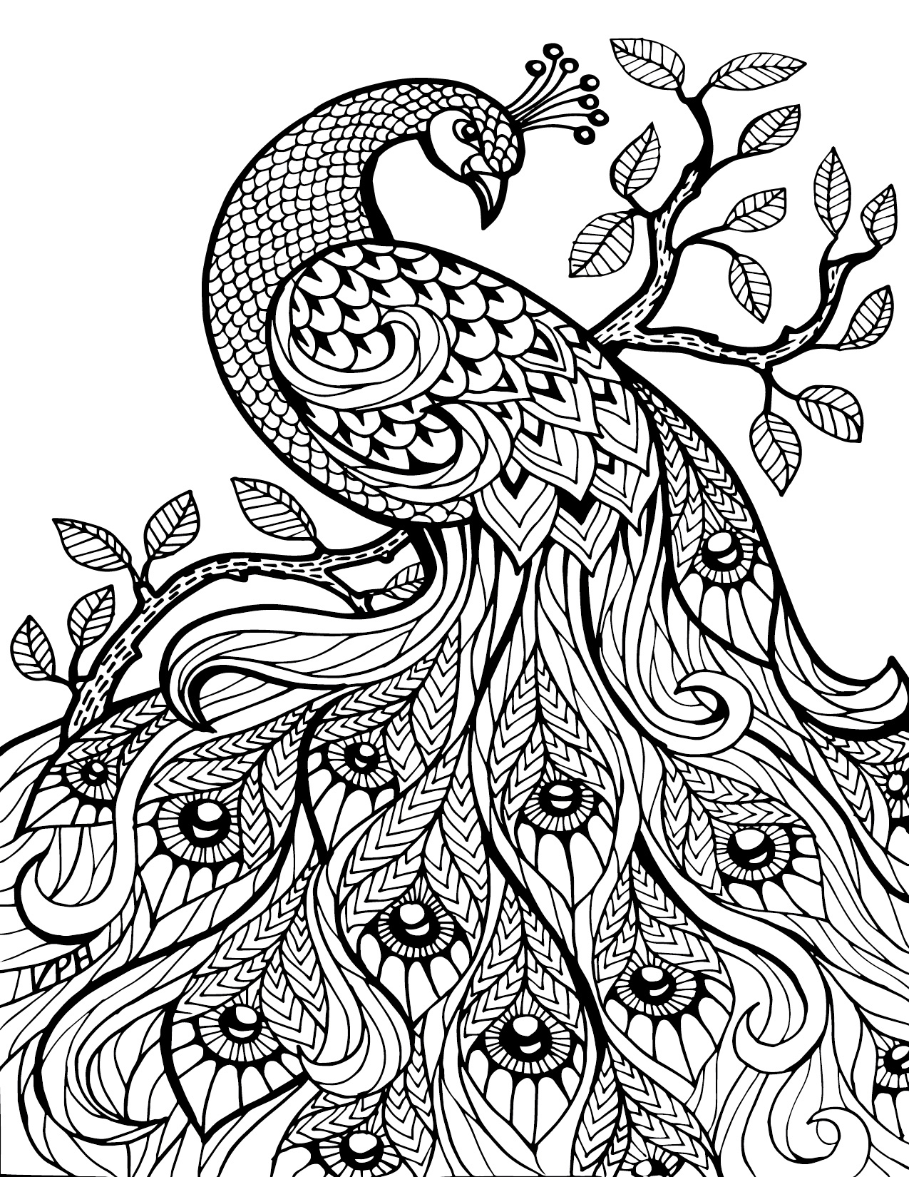 1275x1650 Adult Coloring Pages