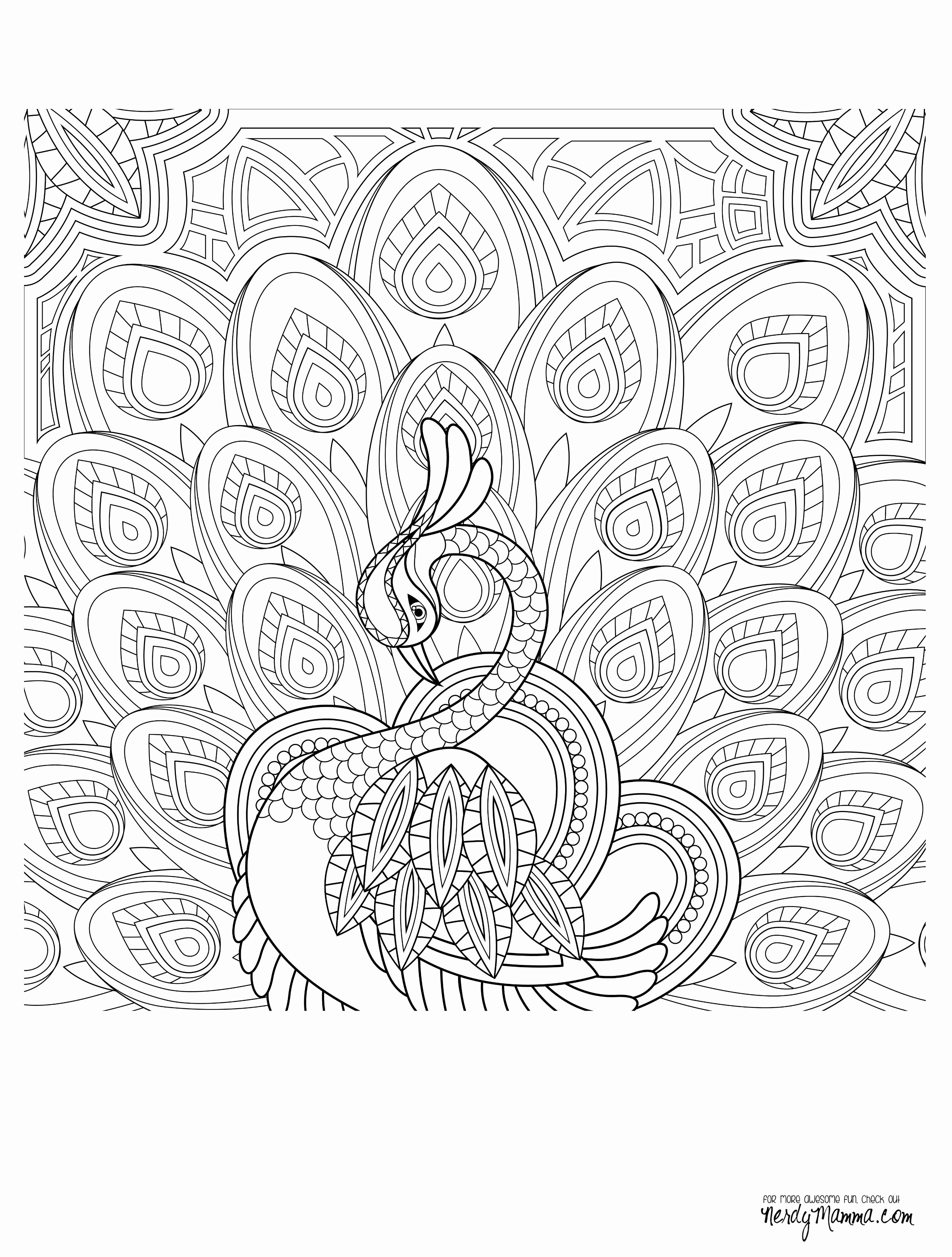 2500x3300 Fairy Tale Coloring Pages Example New Peacock Feather Coloring