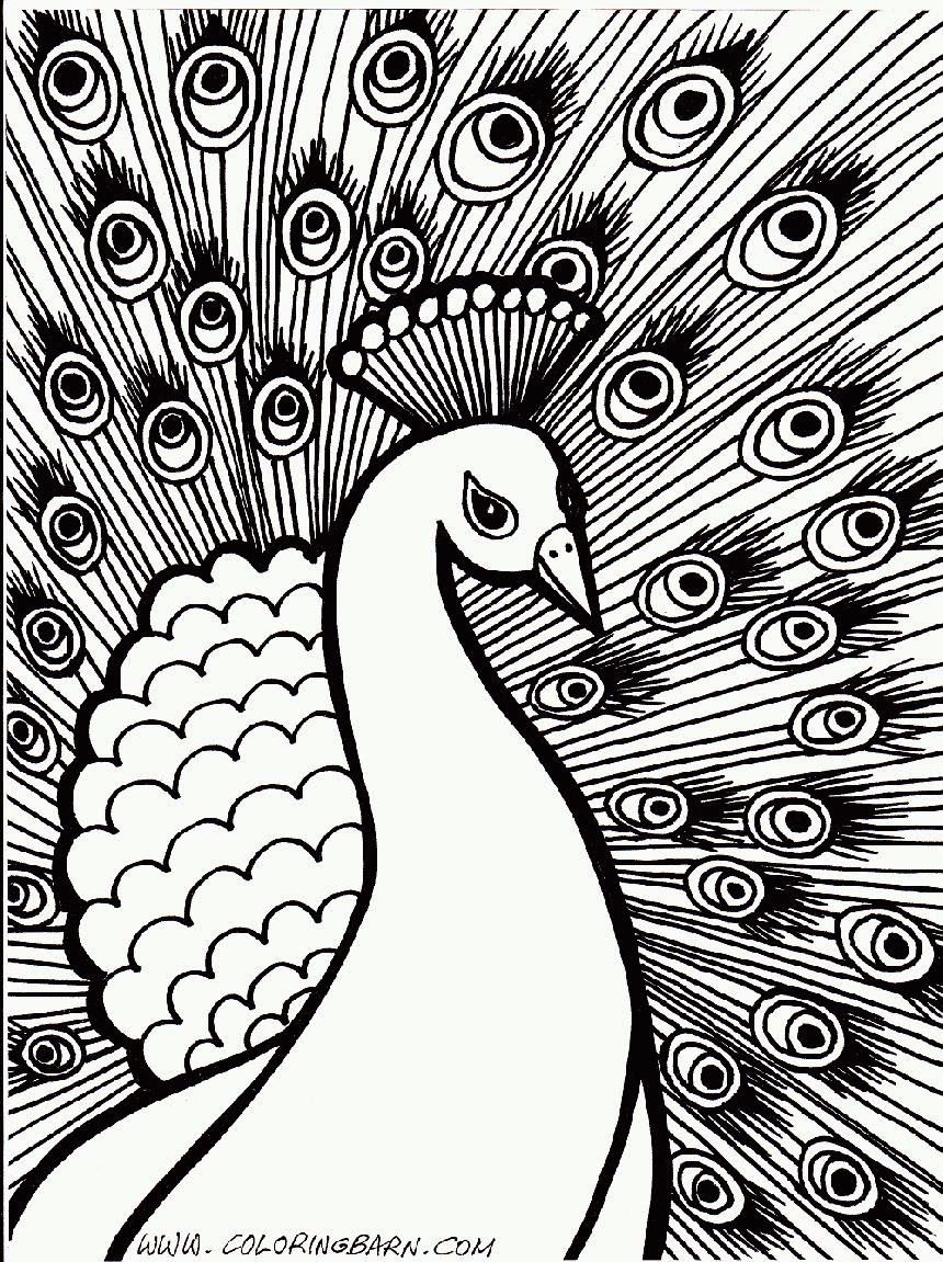 860x1151 Peacock Coloring Pages Adult Coloring Pages Best