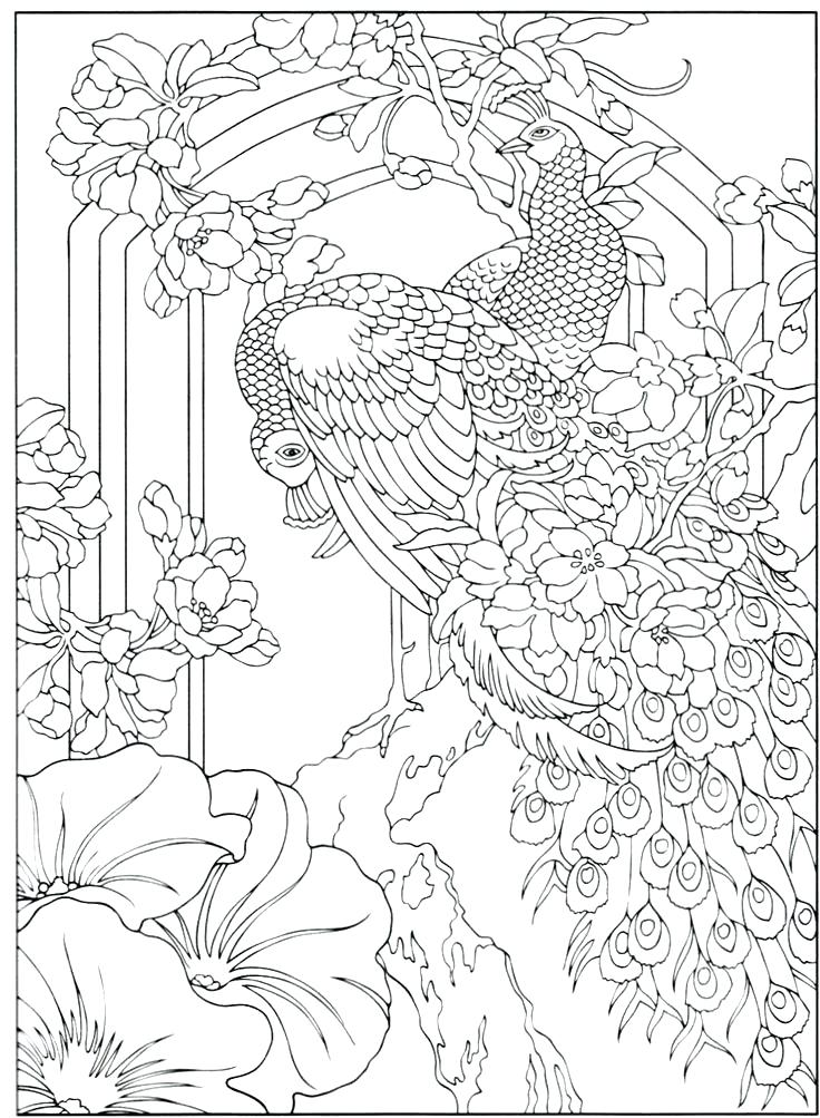 736x1003 Peacock Coloring Pages For Adults Lovely Peacock Color Page