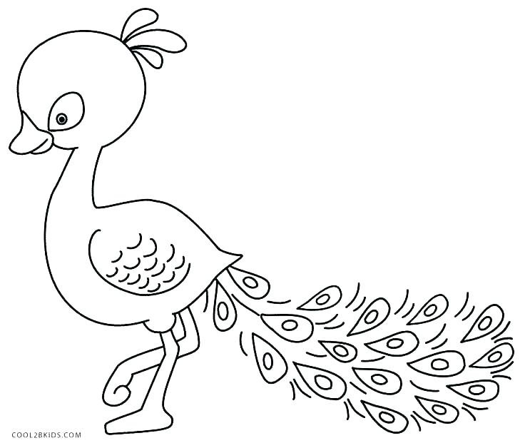 736x628 Peacock Coloring Pages For Adults Peacock Coloring Pages Peacock