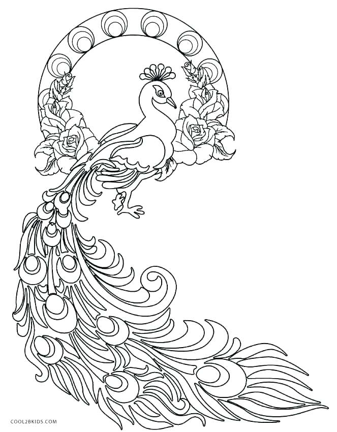 663x850 Peacock Coloring Pages Peacock Images For Coloring Free Printable