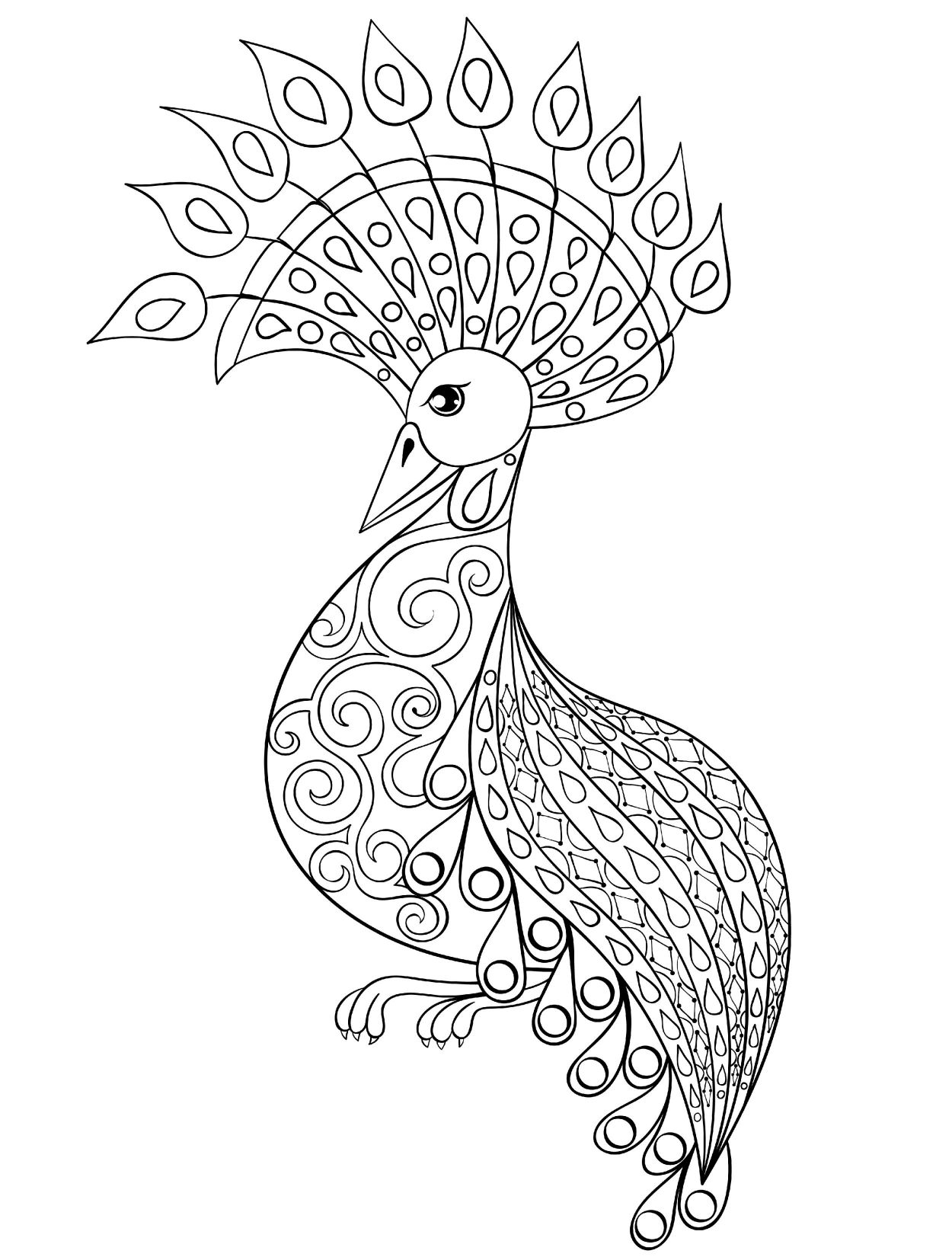1250x1650 Stunning Peacock Coloring Pages For Adults Jacbme Pict Trend