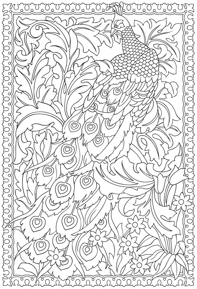 650x953 Adult Coloring Peacock Printable Coloring Pages