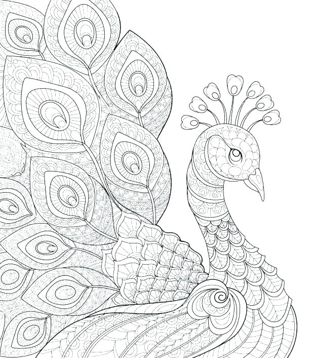 618x706 Coloring Peacock Coloring Pages Of Peacock Peacock Coloring Pages