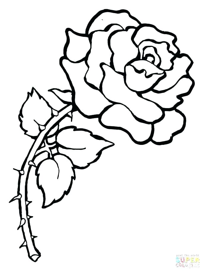Coloring Pages Roses And Hearts Page Rose Medium Size Of Lovely 687x916 Coloring Pages Roses And Hearts Page Rose Medium Size Of Lovely