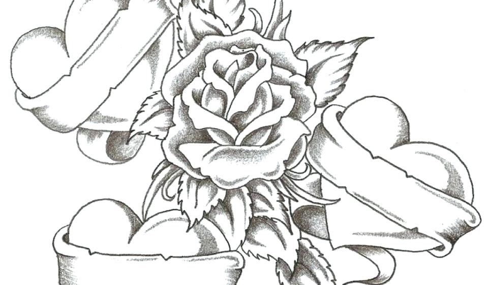 Rose Coloring Pages Free Roses Coloring Pages For Adults To Print 960x562 Rose Coloring Pages Free Roses Coloring Pages For Adults To Print