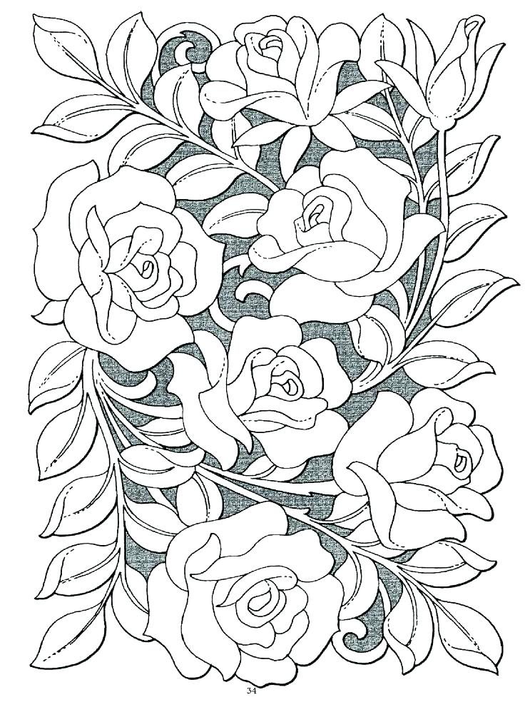 Roses Coloring Page Roses Coloring Pages Rose Coloring Books 736x991 Roses Coloring Page Roses Coloring Pages Rose Coloring Books