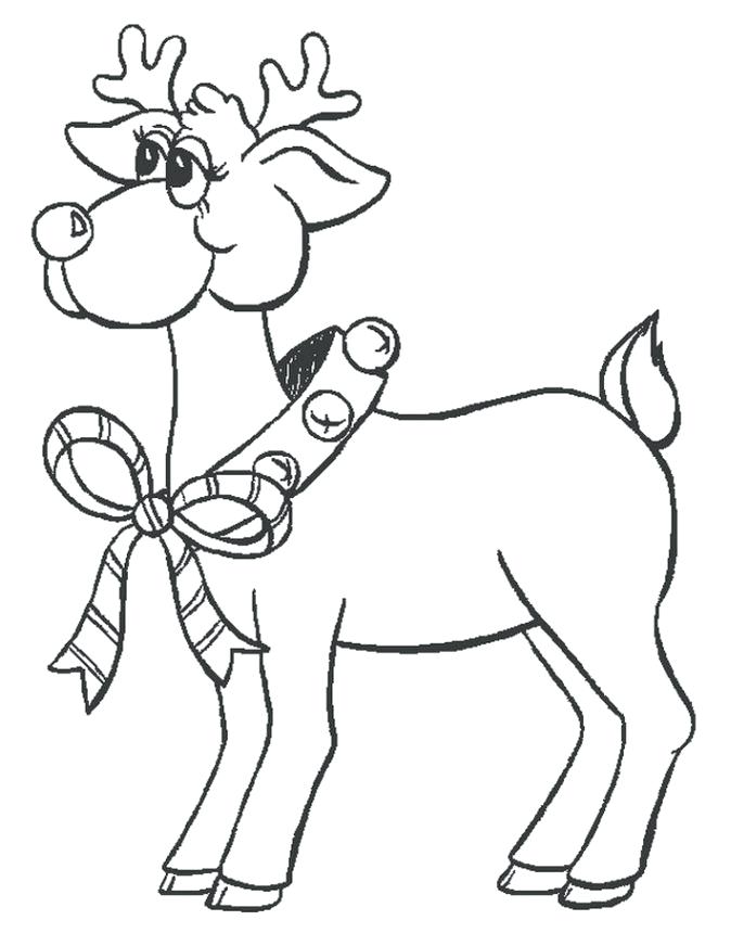 Forest Animals Coloring Pages All The Wild Animals Of The Fox 674x860 Forest Animals Coloring Pages All The Wild Animals Of The Fox