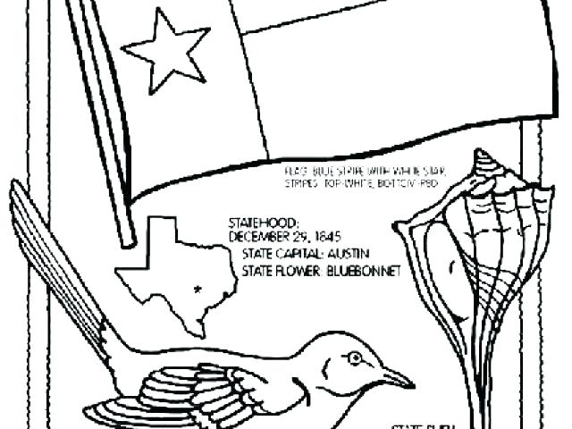 640x480 Bluebonnet Coloring Page Coloring Pages Crayons Bluebonnet