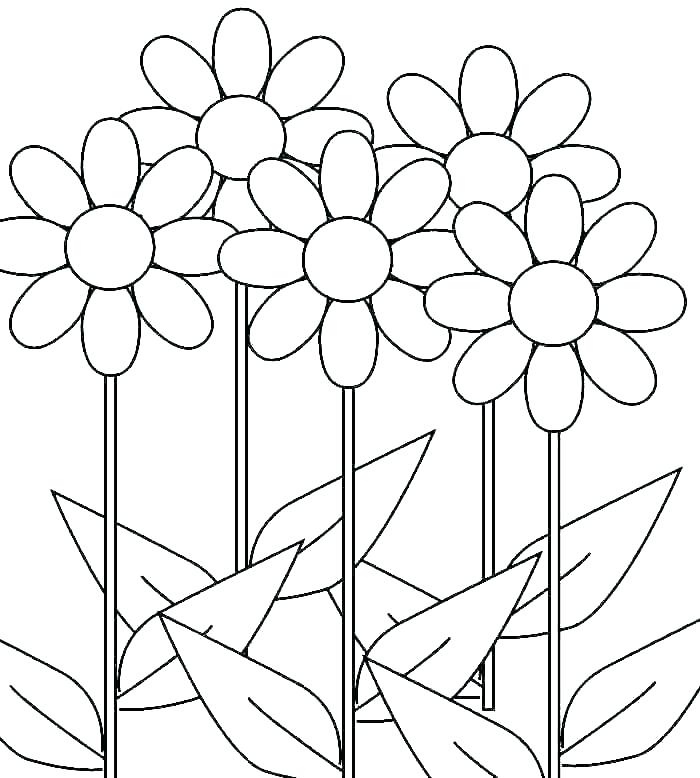 700x778 Daisy Coloring Pages Impair.co