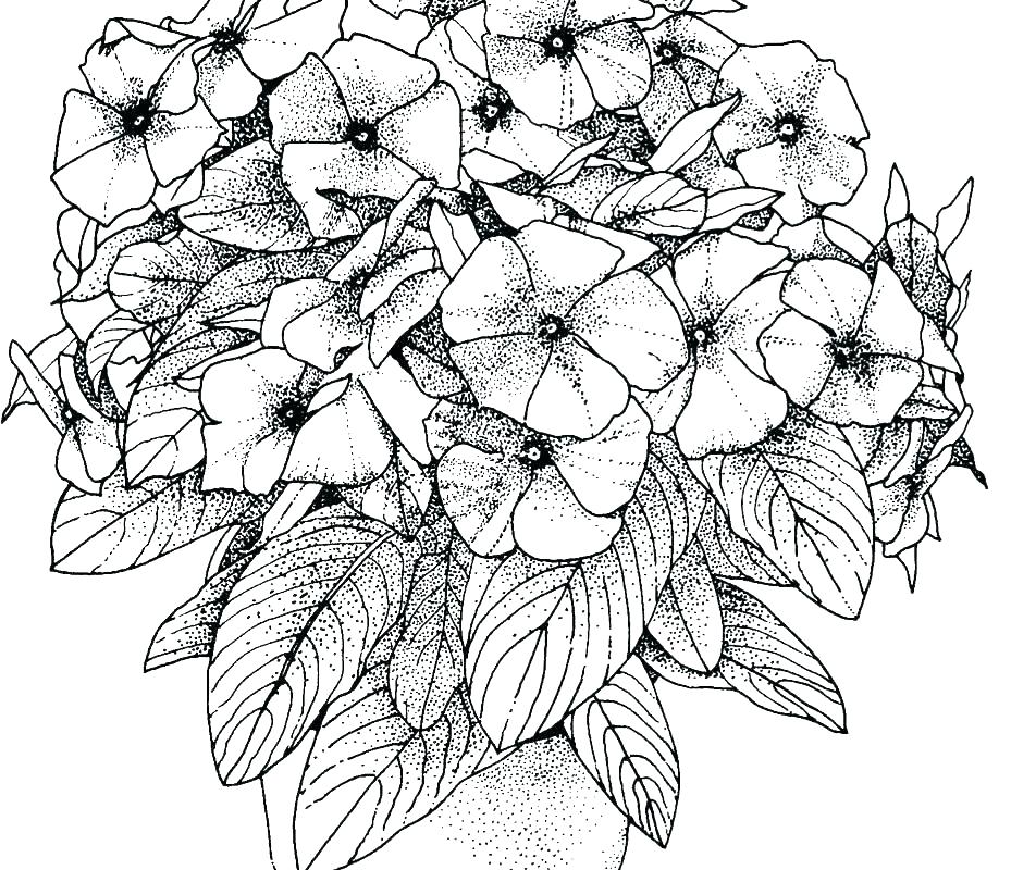 Coloring Pages That Are Hard Difficult Coloring Pages Photographs 929x800 Coloring Pages That Are Hard Difficult Coloring Pages Photographs