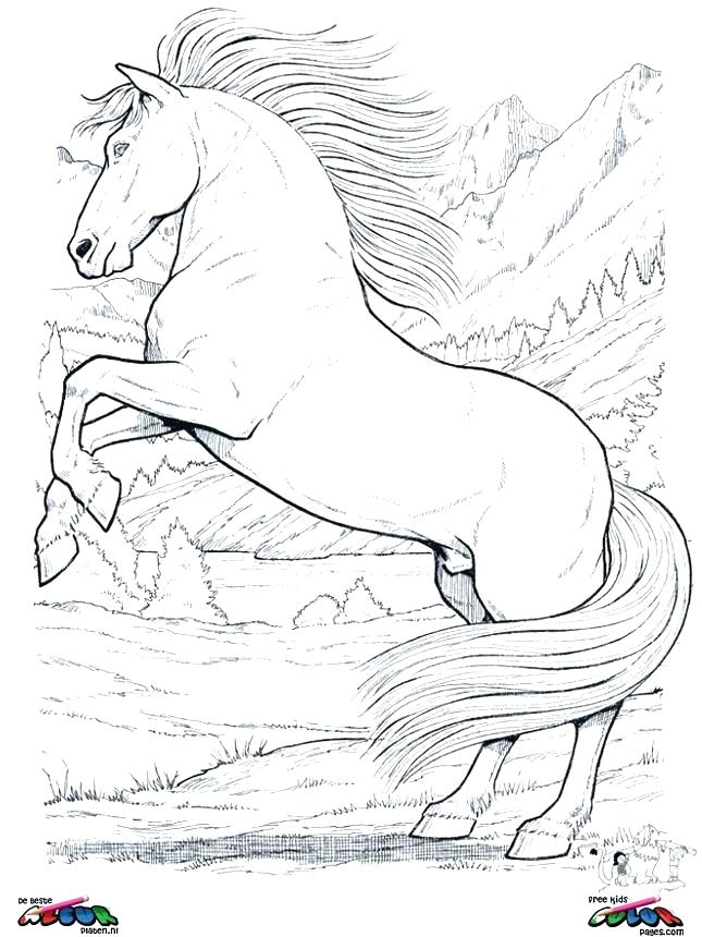 Horses Coloring Pages Coloring Page Of Horse Horse Coloring Pages 645x860 Horses Coloring Pages Coloring Page Of Horse Horse Coloring Pages