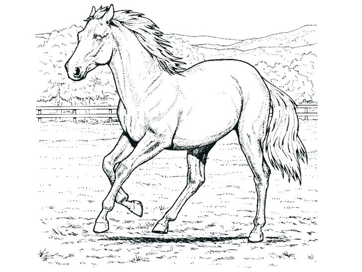 Coloring Pages Of Horses Running 728x546 Coloring Pages Of Horses Running