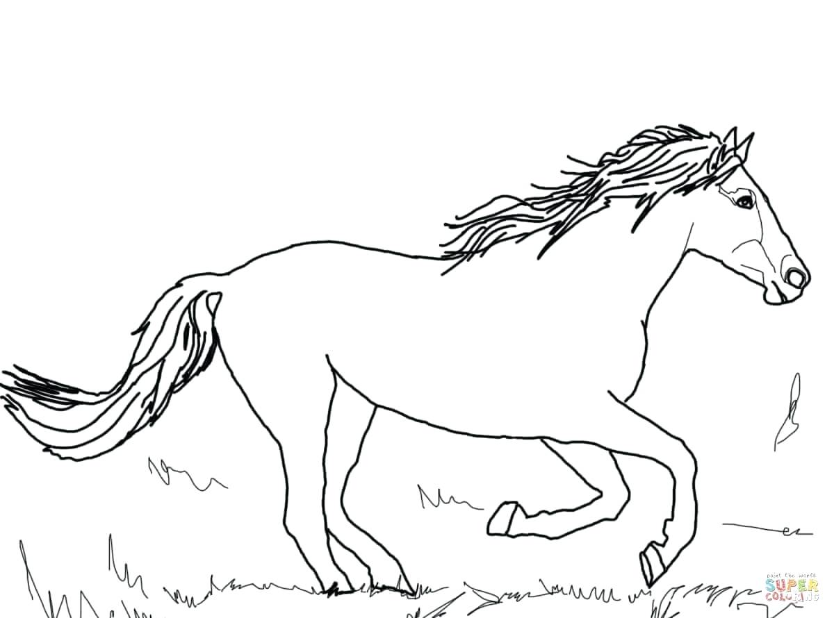 Coloring Pages For Girls Horse Head Sketch By Cruel Intentions 1200x890 Coloring Pages For Girls Horse Head Sketch By Cruel Intentions