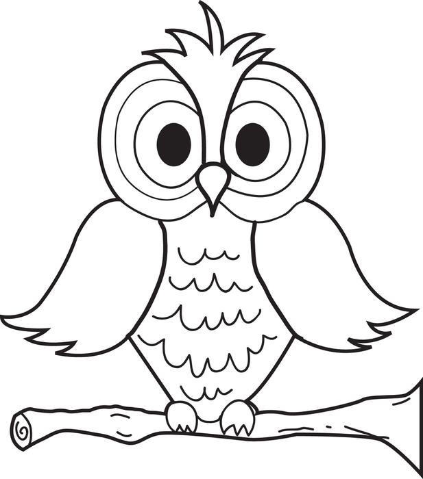 617x700 Owl Coloring Pages For Kids Free Printable Coloring Pages Of Real