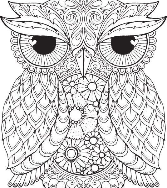 535x600 Owl Pictures To Colour Exciting Owl Coloring Pages 67 For Download
