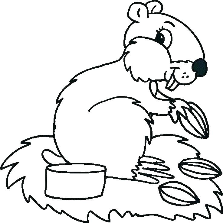 737x738 Coloring Pictures Of Cute Animals Cute Animal Coloring Pages Baby