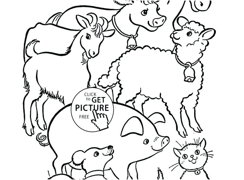 827x609 Farm Animals Coloring Page Printable Animal Pictures Pic Free