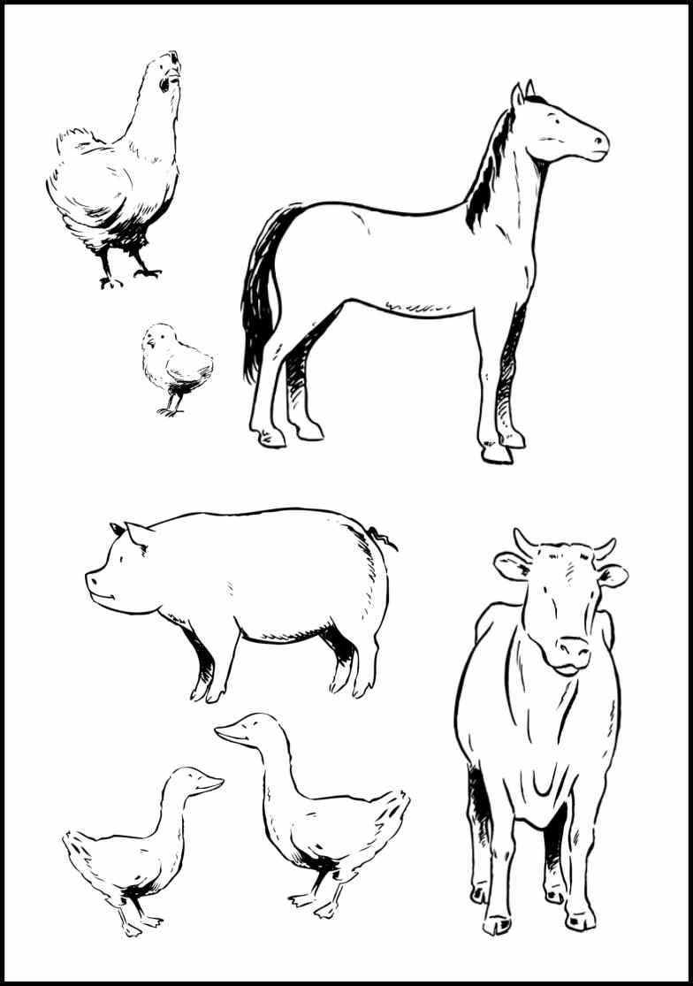 784x1115 Farm Animals Coloring Pages For Kids Printable Printable New
