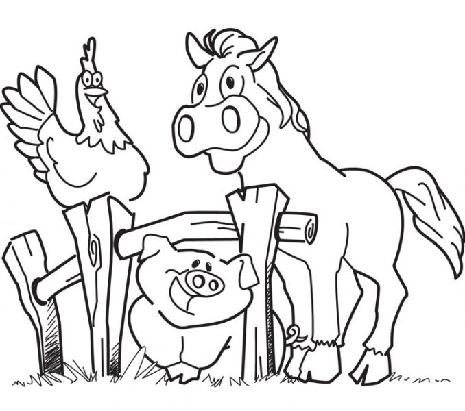 678x600 Farm Coloring Pages For Kids Coloring Pages