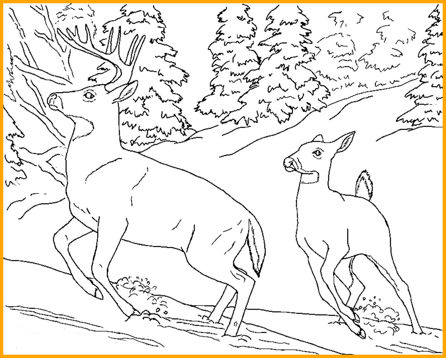 1522x1222 Marvelous Color Pages Of With Farm Coloring Picture Animal