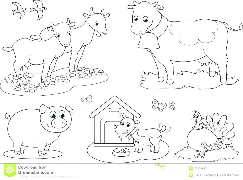 1024x762 Farm Animal Coloring Pages
