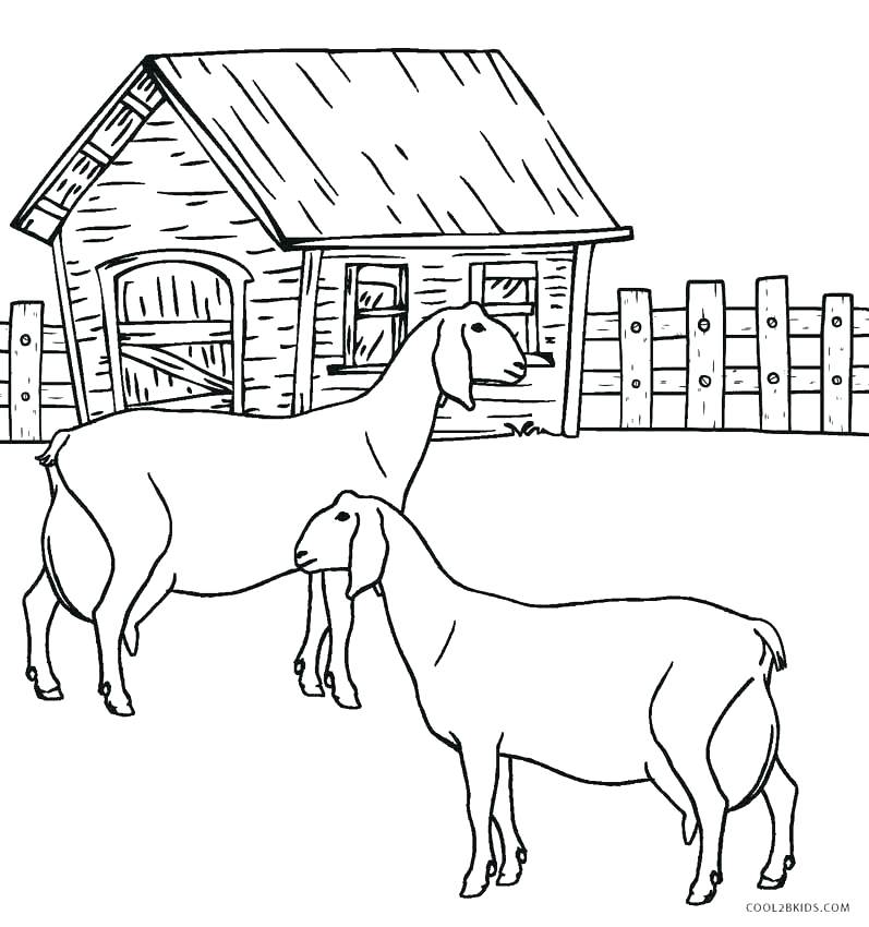 797x850 Farm Animal Pictures To Color