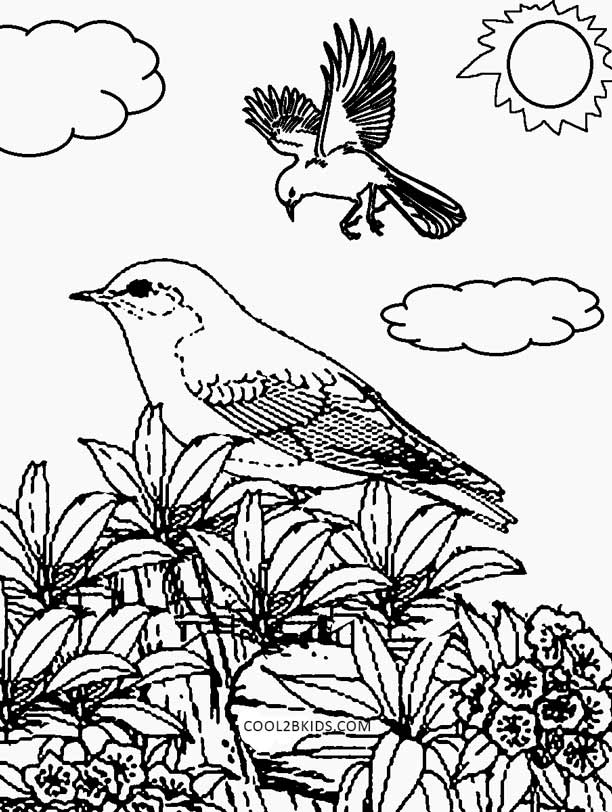 612x812 Nature Mandalas Coloring Pages @doverpublicationscom Nature