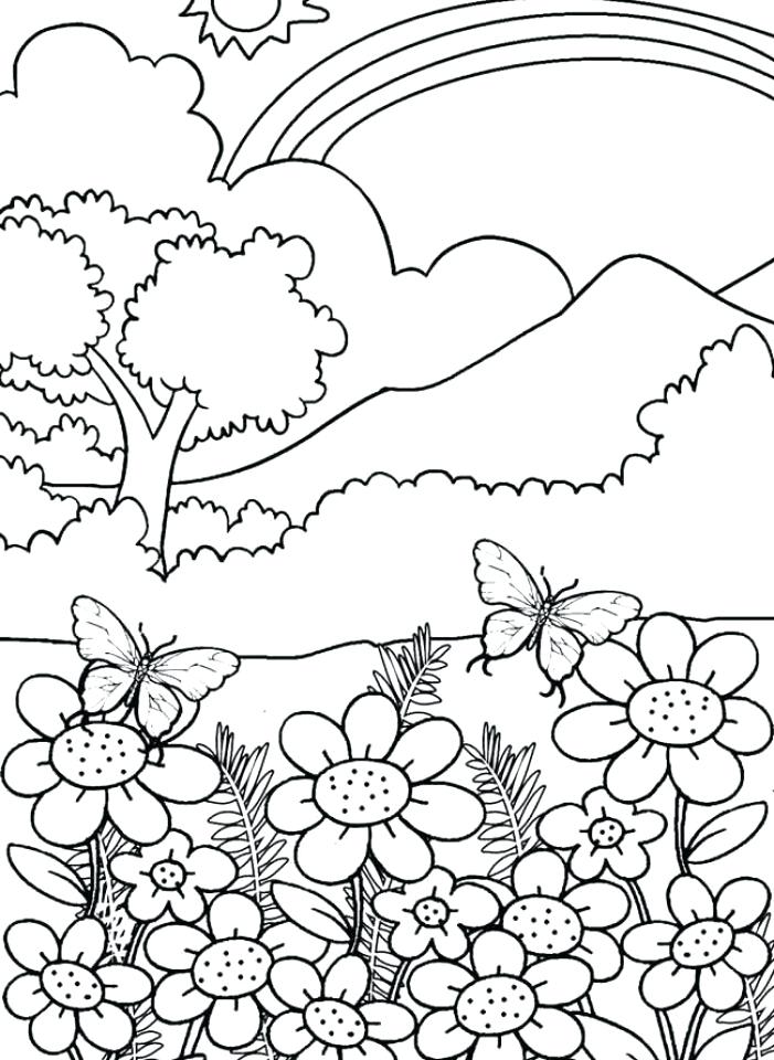 701x960 Nature Coloring Book Illustrate And Meditate Pages Printable